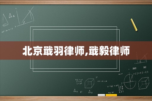 北京戢羽律師,戢毅律師