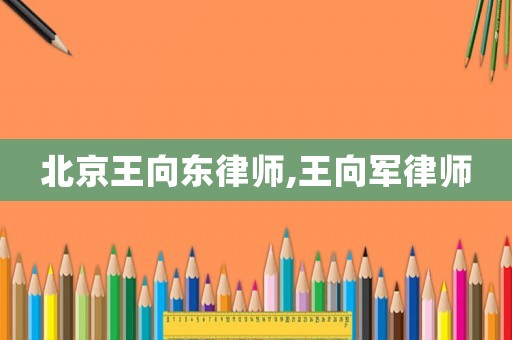 北京王向東律師,王向軍律師