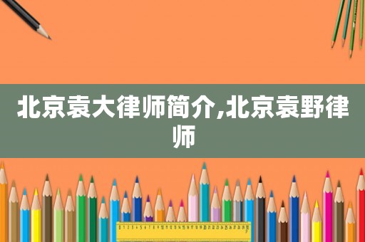 北京袁大律師簡介,北京袁野律師