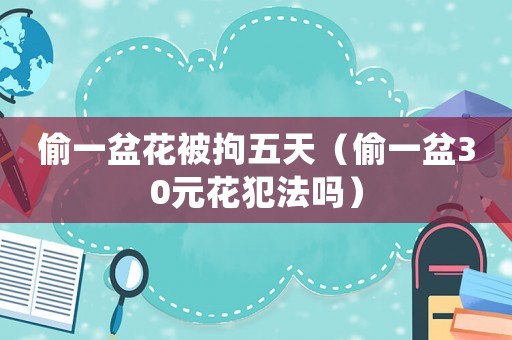 偷一盆花被拘五天（偷一盆30元花犯法嗎）