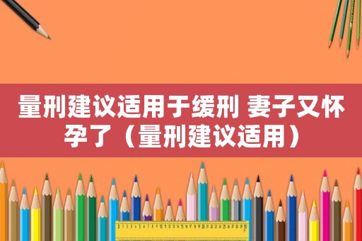 量刑建議適用于緩刑 妻子又懷孕了（量刑建議適用）