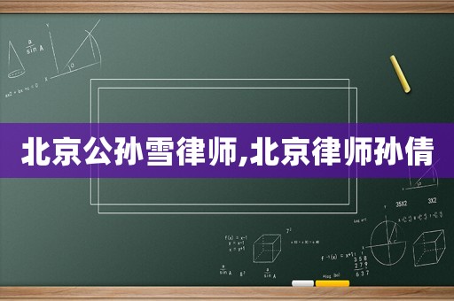 北京公孫雪律師,北京律師孫倩