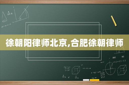 徐朝陽(yáng)律師北京,合肥徐朝律師