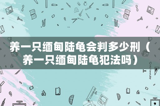 養(yǎng)一只緬甸陸龜會判多少刑（養(yǎng)一只緬甸陸龜犯法嗎）