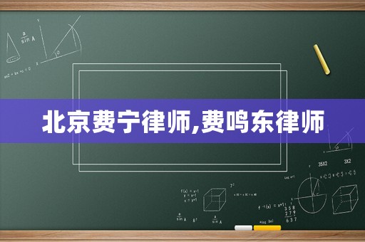 北京費寧律師,費鳴東律師