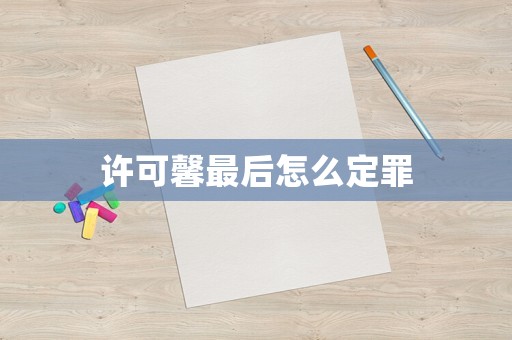 許可馨最后怎么定罪