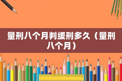 量刑八個(gè)月判緩刑多久（量刑八個(gè)月）