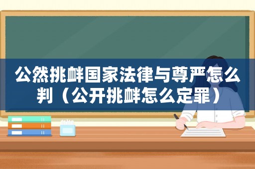 公然挑釁國(guó)家法律與尊嚴(yán)怎么判（公開(kāi)挑釁怎么定罪）