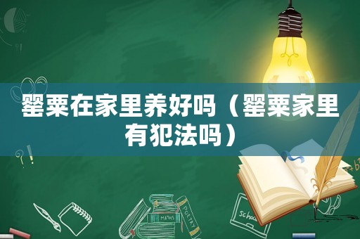 罌粟在家里養(yǎng)好嗎（罌粟家里有犯法嗎）