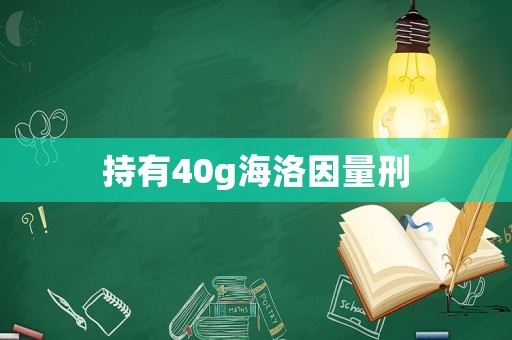 持有40g海洛因量刑