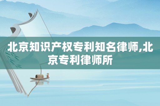 北京知識產(chǎn)權(quán)專利知名律師,北京專利律師所