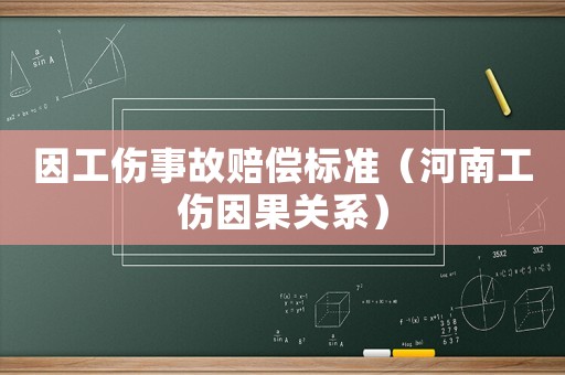 因工傷事故賠償標(biāo)準(zhǔn)（河南工傷因果關(guān)系）