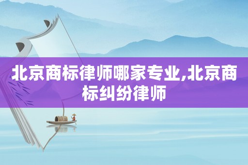 北京商標(biāo)律師哪家專(zhuān)業(yè),北京商標(biāo)糾紛律師