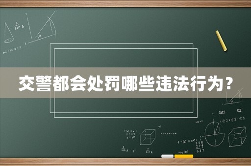 交警都會(huì)處罰哪些違法行為？