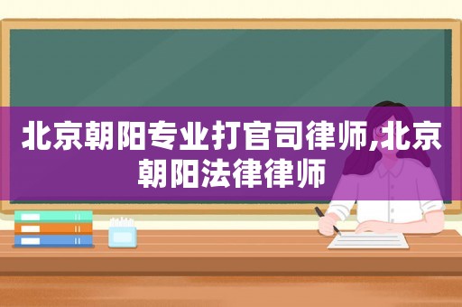 北京朝陽專業(yè)打官司律師,北京朝陽法律律師