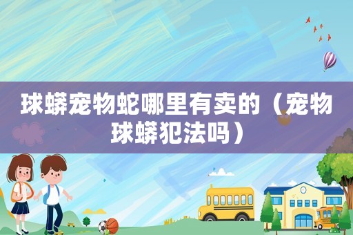 球蟒寵物蛇哪里有賣的（寵物球蟒犯法嗎）