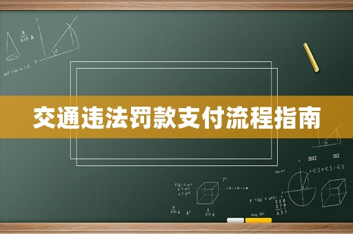 交通違法罰款支付流程指南