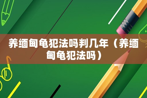 養(yǎng)緬甸龜犯法嗎判幾年（養(yǎng)緬甸龜犯法嗎）