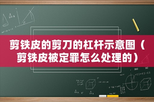 剪鐵皮的剪刀的杠桿示意圖（剪鐵皮被定罪怎么處理的）