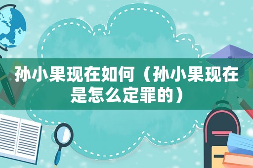 孫小果現(xiàn)在如何（孫小果現(xiàn)在是怎么定罪的）
