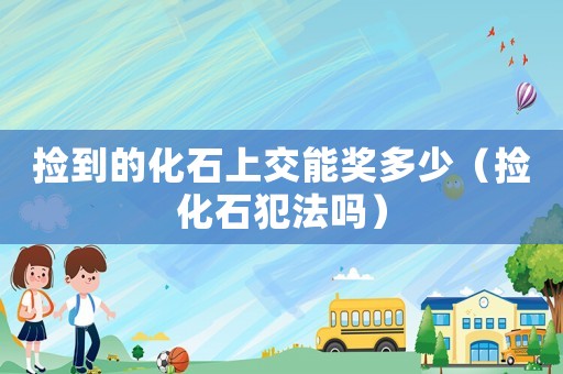 撿到的化石上交能獎(jiǎng)多少（撿化石犯法嗎）
