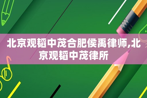 北京觀韜中茂合肥侯禹律師,北京觀韜中茂律所