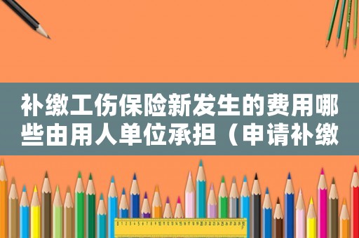 補繳工傷保險新發(fā)生的費用哪些由用人單位承擔(dān)（申請補繳工傷保險的申請書）