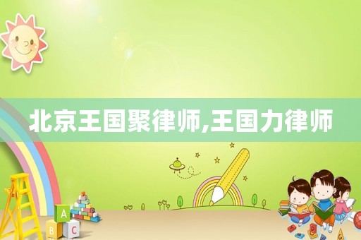 北京王國聚律師,王國力律師