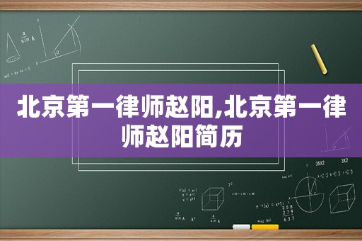 北京第一律師趙陽,北京第一律師趙陽簡歷