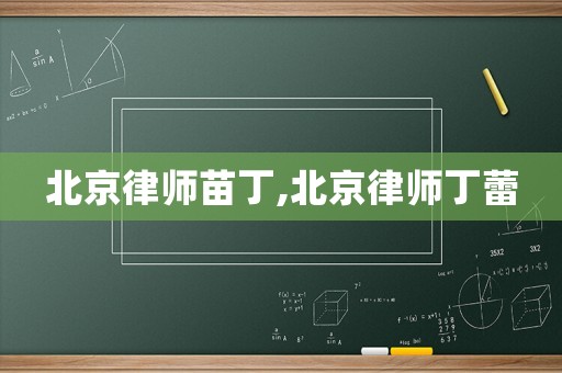 北京律師苗丁,北京律師丁蕾