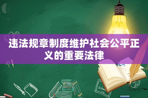 違法規(guī)章制度維護(hù)社會公平正義的重要法律