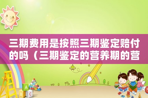 三期費(fèi)用是按照三期鑒定賠付的嗎（三期鑒定的營(yíng)養(yǎng)期的營(yíng)養(yǎng)費(fèi)標(biāo)準(zhǔn)）