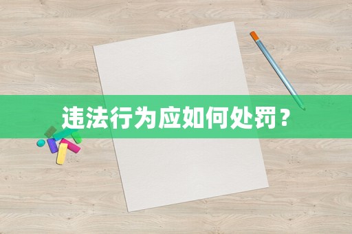 違法行為應(yīng)如何處罰？
