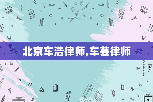 北京車浩律師,車蕓律師