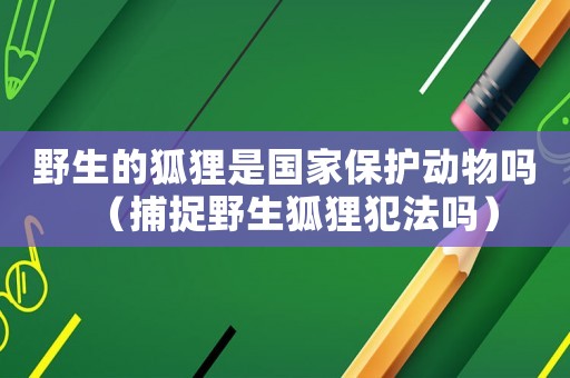 野生的狐貍是國(guó)家保護(hù)動(dòng)物嗎（捕捉野生狐貍犯法嗎）