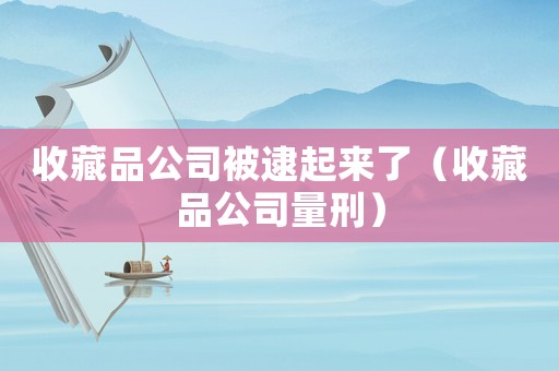 收藏品公司被逮起來了（收藏品公司量刑）