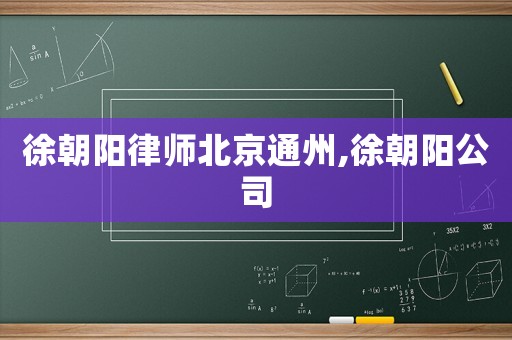 徐朝陽律師北京通州,徐朝陽公司