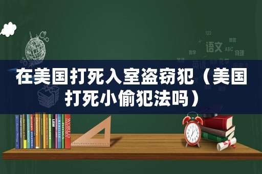 在美國打死入室盜竊犯（美國打死小偷犯法嗎）