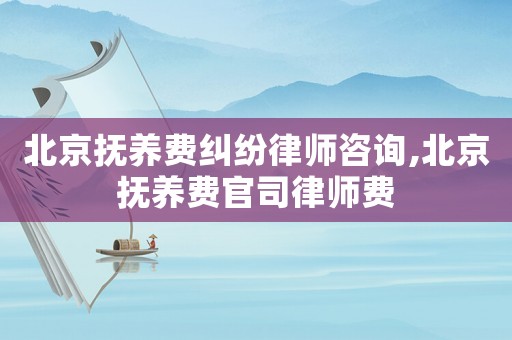北京撫養(yǎng)費(fèi)糾紛律師咨詢,北京撫養(yǎng)費(fèi)官司律師費(fèi)