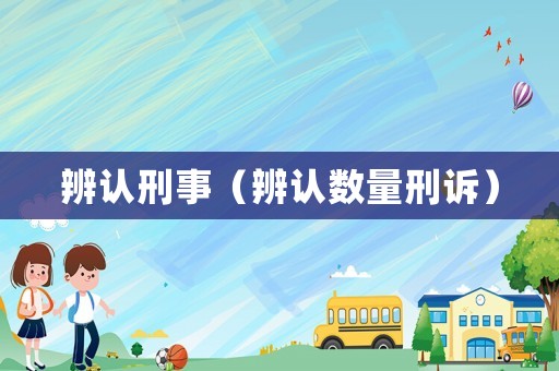 辨認(rèn)刑事（辨認(rèn)數(shù)量刑訴）