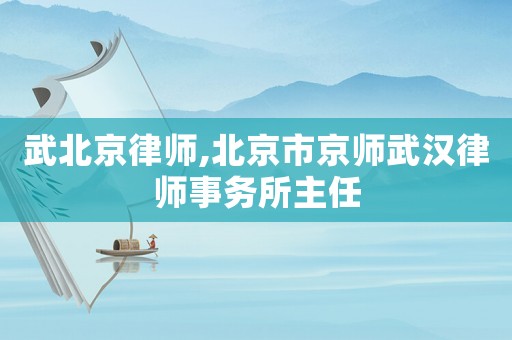 武北京律師,北京市京師武漢律師事務(wù)所主任