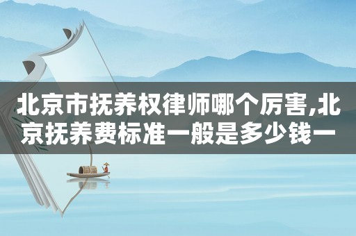 北京市撫養(yǎng)權(quán)律師哪個厲害,北京撫養(yǎng)費標準一般是多少錢一個月