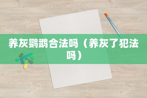 養(yǎng)灰鸚鵡合法嗎（養(yǎng)灰了犯法嗎）