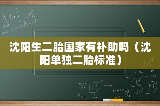 沈陽(yáng)生二胎國(guó)家有補(bǔ)助嗎（沈陽(yáng)單獨(dú)二胎標(biāo)準(zhǔn)）