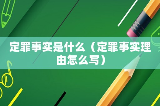 定罪事實(shí)是什么（定罪事實(shí)理由怎么寫）