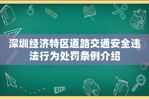 深圳經(jīng)濟特區(qū)道路交通安全違法行為處罰條例介紹