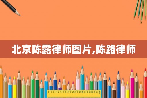 北京陳露律師圖片,陳路律師