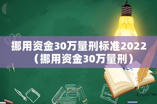 挪用資金30萬(wàn)量刑標(biāo)準(zhǔn)2022（挪用資金30萬(wàn)量刑）