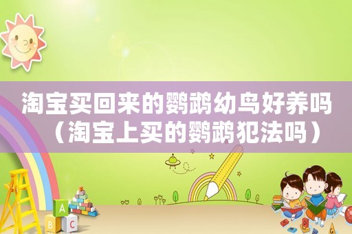 淘寶買回來的鸚鵡幼鳥好養(yǎng)嗎（淘寶上買的鸚鵡犯法嗎）