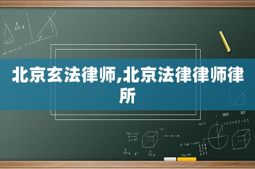 北京玄法律師,北京法律律師律所